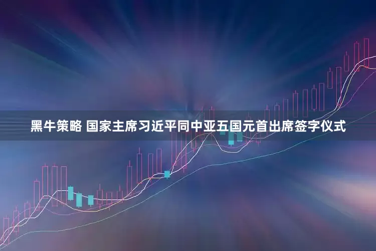 黑牛策略 国家主席习近平同中亚五国元首出席签字仪式