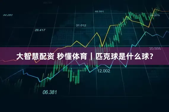 大智慧配资 秒懂体育｜匹克球是什么球？