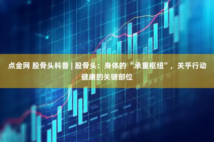 点金网 股骨头科普 | 股骨头：身体的 “承重枢纽”，关乎行动健康的关键部位