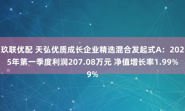 玖联优配 天弘优质成长企业精选混合发起式A：2025年第一季度利润207.08万元 净值增长率1.99%